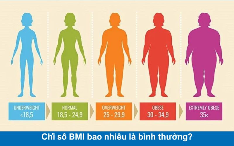 Những điều có thể bạn chưa biết về chỉ số BMI - Hình 2