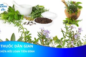 Giảm rối loạn tiền đình nhờ các bài thuốc dân gian