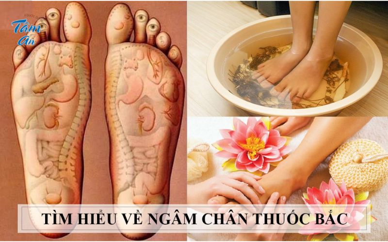 Ngâm chân trị mất ngủ, bạn đã thử chưa? - Hình 2