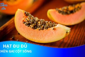 Chữa gai cột sống bằng hạt đu đủ