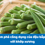 Khám phá công dụng của đậu bắp đối với khớp xương