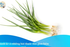 Hành lá và những bài thuốc dân gian hiệu quả
