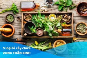 5 Loại lá cây chữa Zona thần kinh hiệu quả