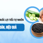Cây Thuốc Lợi Tiểu Tự Nhiên An Toàn, Hiệu Quả