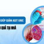 Top 5 Loại Nước Lá Giúp Giảm Axit Uric Hiệu Quả Tại Nhà