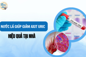 Top 5 Loại Nước Lá Giúp Giảm Axit Uric Hiệu Quả Tại Nhà