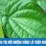 Cách Trị Hôi Miệng Bằng Lá Trầu Không Hiệu Quả Tức Thì