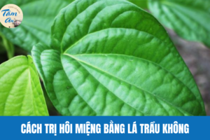 Cách Trị Hôi Miệng Bằng Lá Trầu Không Hiệu Quả Tức Thì